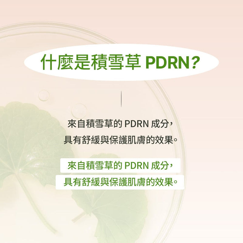 迪雅黛麗奧 台灣官方網站 腮紅 【新品上市】日間修護多合一BB霜 SPF40 PA+++